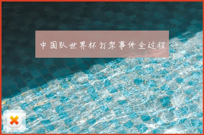 中国队世界杯打架事件全过程