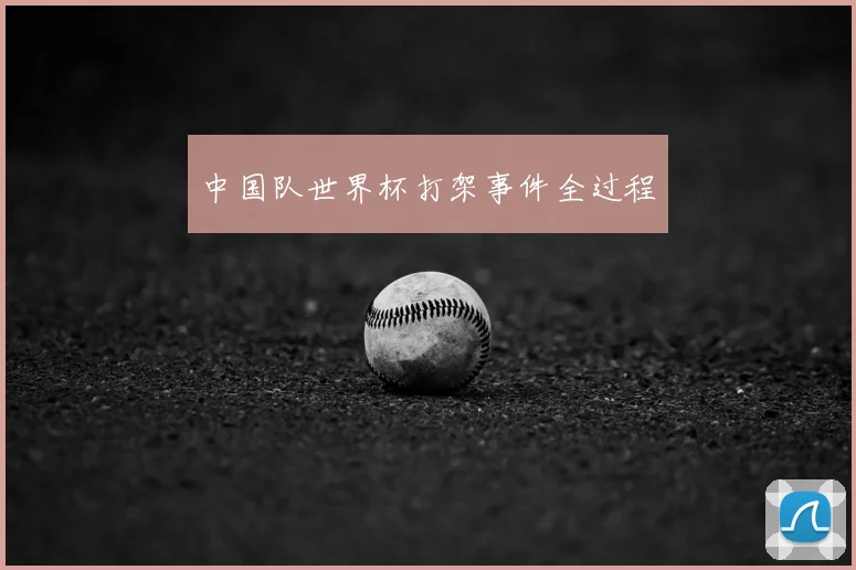 中国队世界杯打架事件全过程